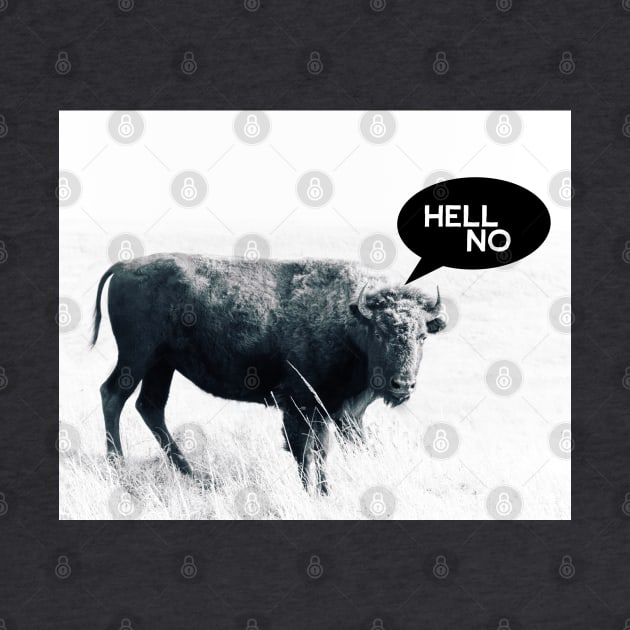 Hell No Animal Humor Bison Photo Art by art64